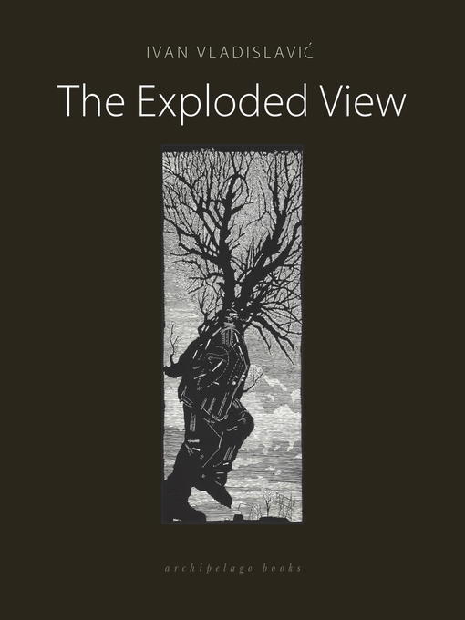 Title details for The Exploded View by Ivan Vladislavic - Available